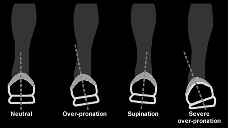 best running shoe, biomechanics